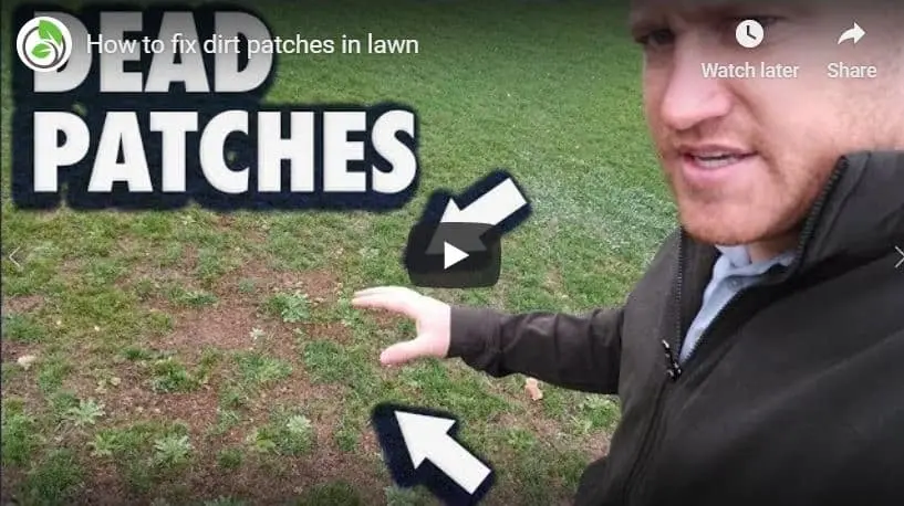 Highland Lawn Care Tip of the Week