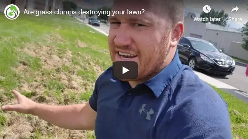 Saratoga Springs Lawn Mowing Tip