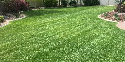 Green lawn with no weeds in Midway, UT.
