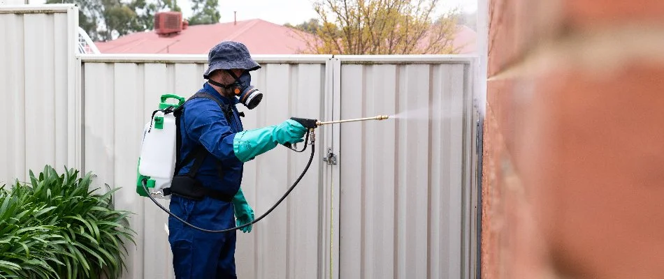 Worker applying a perimeter pest control treatment on a wall in Midway, UT.