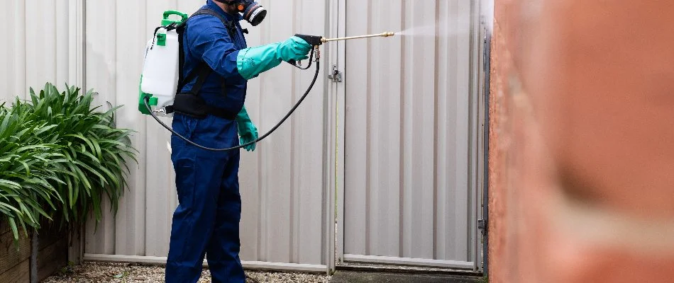 Worker in Lehi, UT, applying a perimeter pest control treatment.